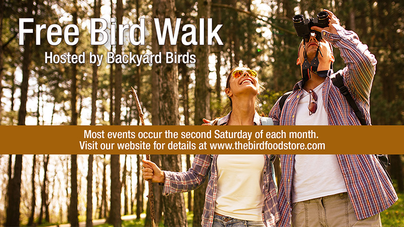 Backyard Birds - Bird Walk Fall Events
