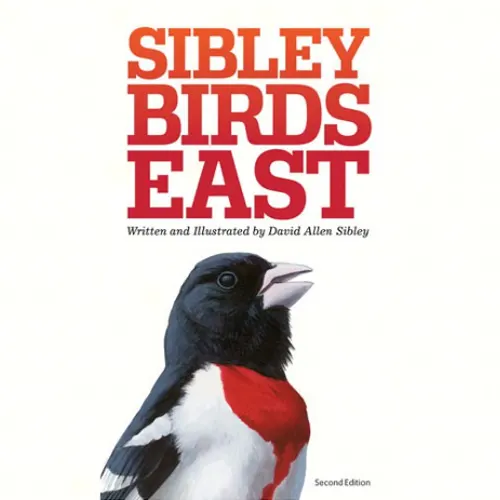 Sibley Field Guide to Birds East 2nd Edition